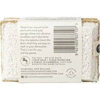 Eco Scrub 2pk