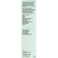 Peg Paste Natural Toothpaste with Hydroxyapatite Natural Mint 190g